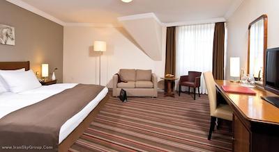 لئوناردو هامبورگ-استیلهرن