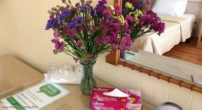 بست وسترن کاندیاهتل