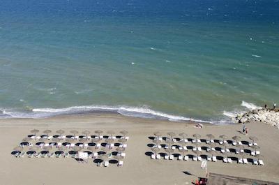 سول گوادالمار