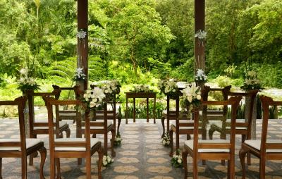 رویال پیتا ماها