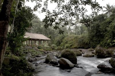 رویال پیتا ماها