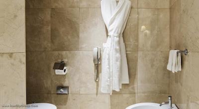 کرون پلازا پورتو