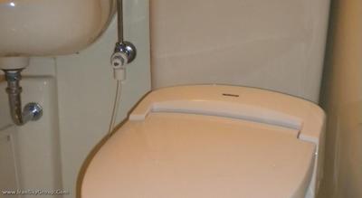 د بی سنگنجایا