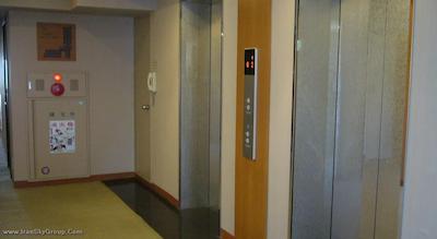 پیرل ریوگکو