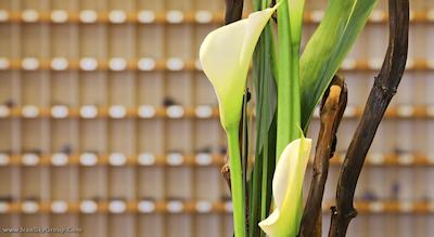 ای اچ ام هتل مانهایم سیتی