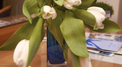 تروپیکال هتل