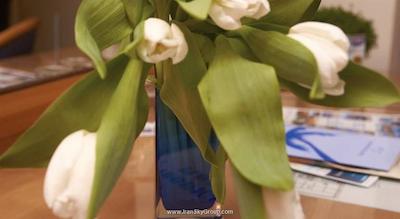 تروپیکال هتل