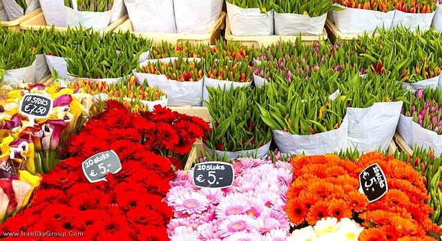 والدورف آستوریا آمستردام