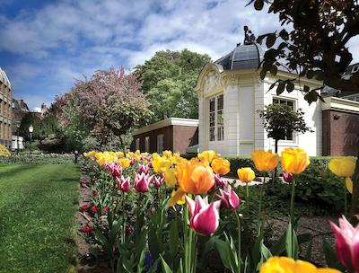 والدورف آستوریا آمستردام