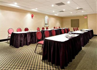 هالیدی این اکسپرس اند سوئیتس ساری