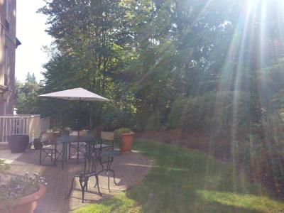 هالیدی این اکسپرس اند سوئیتس ساری