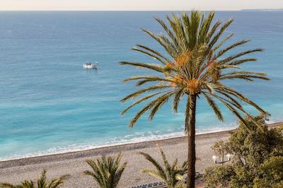 وستمینستر نیس