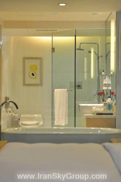 رنسانس شانگهای یویوان گاردن