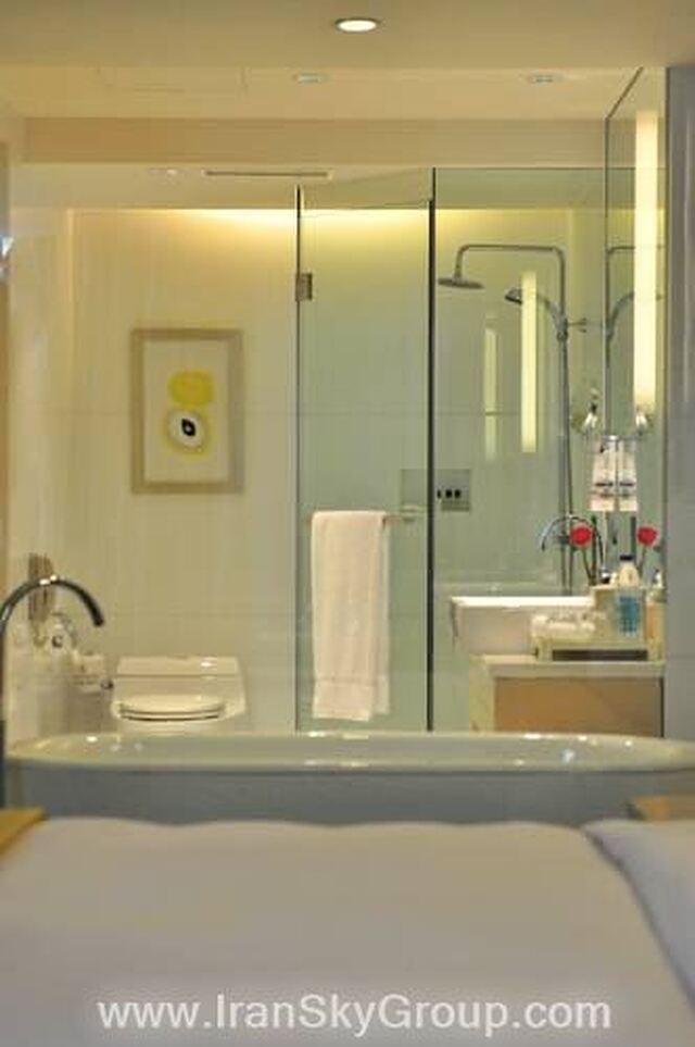 رنسانس شانگهای یویوان گاردن