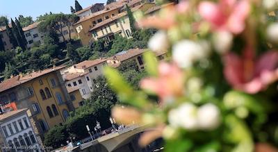 پلازا لوکچسی