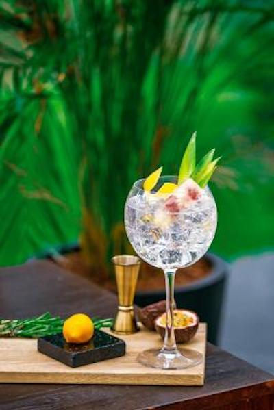 ترینن پالاس ورسای