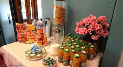 ویلا کینزیکا