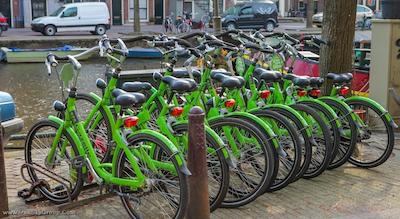 همپشایر این-پرینسنگرچت