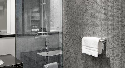 کراون پلازا امستردام سوت