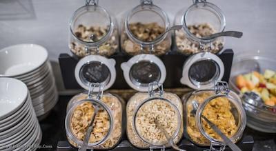 کاتالونيا وندل آمستردام