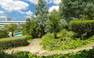 شرایتون رما