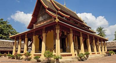 آیبیس وینتین نم فو