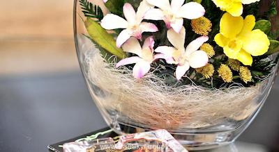 کاسادو پلازا