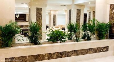 کاسادو پلازا