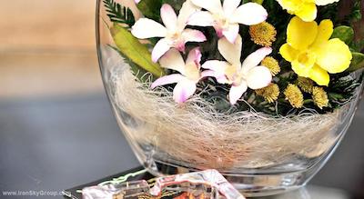 کاسادو پلازا