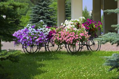 هالیدی این مسکو سلیگرسکایا