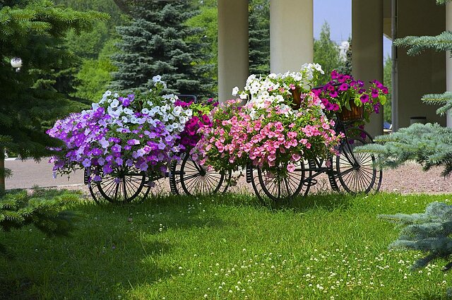 هالیدی این مسکو سلیگرسکایا