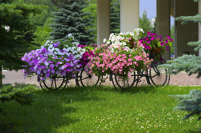 هالیدی این مسکو سلیگرسکایا