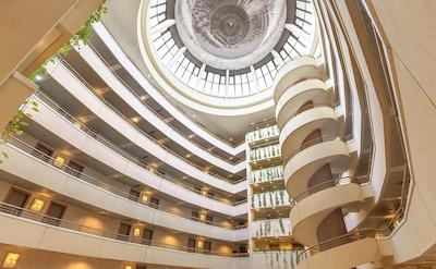 هالیدی این مسکو سلیگرسکایا