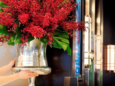 سوفیتل ملبورن آن کولینس