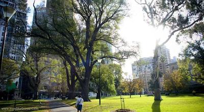 سوفیتل ملبورن آن کولینس