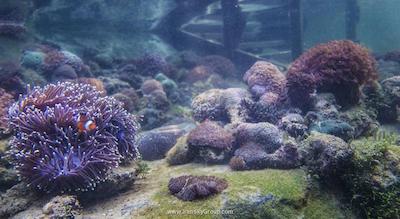 د اندامن، ای لاکچری کالکشن ریزورت، لنکاوی