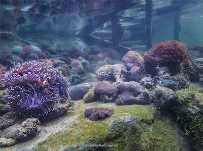 د اندامن، ای لاکچری کالکشن ریزورت، لنکاوی