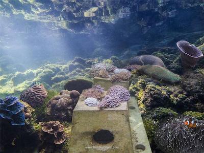 د اندامن، ای لاکچری کالکشن ریزورت، لنکاوی