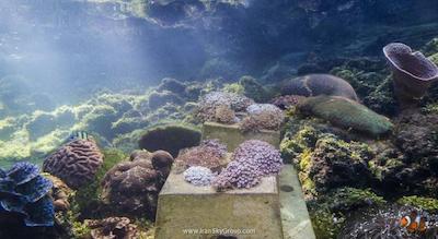 د اندامن، ای لاکچری کالکشن ریزورت، لنکاوی