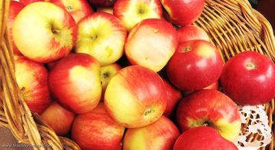 بست وسترن استراسبورگ