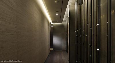 د وستین چسون سئول