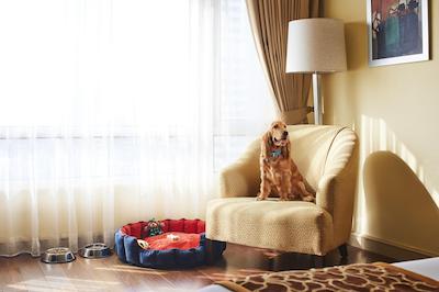 ویوانتا پرزیدنت