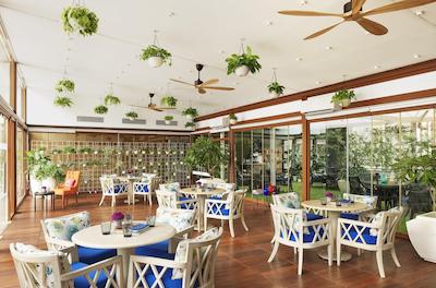 ویوانتا پرزیدنت