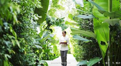 د سوجانا هتل کوالا لامپور