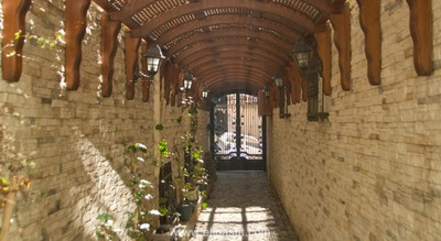 کزی فلتس