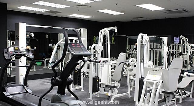 برایت سوئیتس