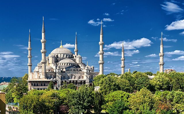 وایت مونارچ