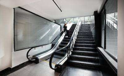 وایت مونارچ