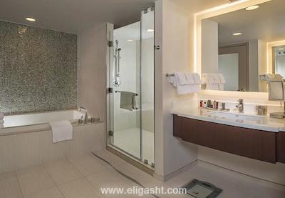 ماریوت مارکوس وشیگتن، دیسی