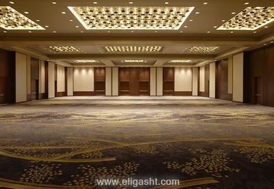 ماریوت مارکوس وشیگتن، دیسی